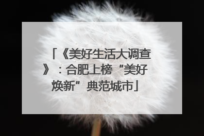 《美好生活大调查》：合肥上榜“美好焕新”典范城市