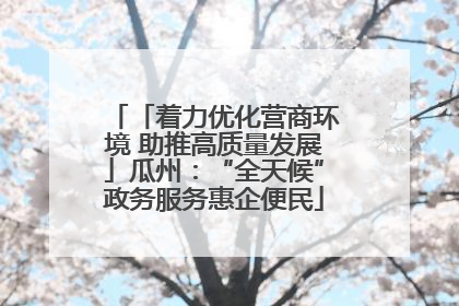 「着力优化营商环境 助推高质量发展」瓜州：“全天候”政务服务惠企便民
