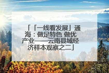 「一线看发展」通海：做足特色 做优产业——云南县域经济样本观察之二