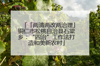 「两清两改两治理」铜仁市松桃自治县石梁乡：“四治”工作法打造和美新农村