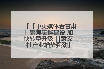 「中央媒体看甘肃」聚焦集群建设 加快转型升级 甘肃支柱产业增势强劲