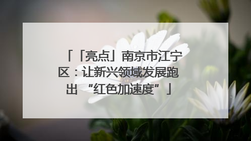 「亮点」南京市江宁区：让新兴领域发展跑出 “红色加速度”