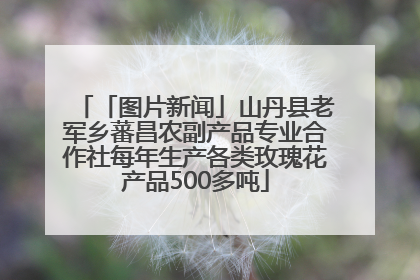 「图片新闻」山丹县老军乡蕃昌农副产品专业合作社每年生产各类玫瑰花产品500多吨