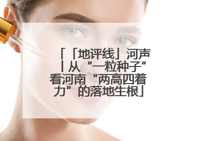 「地评线」河声丨从“一粒种子”看河南“两高四着力”的落地生根