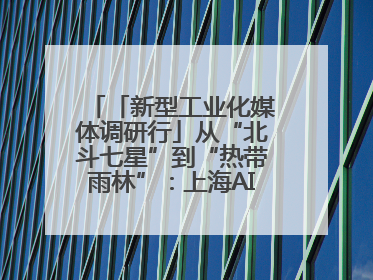 「新型工业化媒体调研行」从“北斗七星”到“热带雨林”：上海AI生态的技术商业共生密码