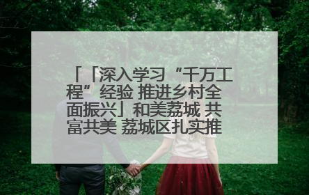 「深入学习“千万工程”经验 推进乡村全面振兴」和美荔城 共富共美 荔城区扎实推进乡村振兴工作
