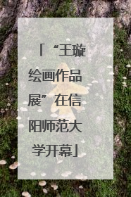 “王璇绘画作品展”在信阳师范大学开幕