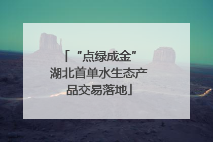 “点绿成金” 湖北首单水生态产品交易落地
