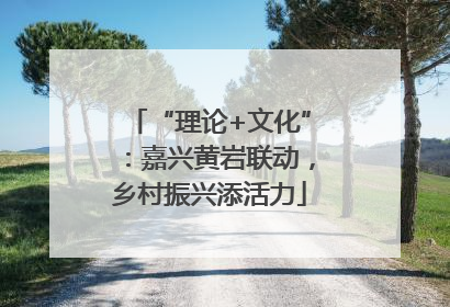 “理论+文化”：嘉兴黄岩联动，乡村振兴添活力