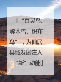 “百灵鸟、啄木鸟、织布鸟”，为仙居县域发展注入“新”动能