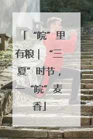 “皖”里有粮｜“三夏”时节，一“皖”麦香