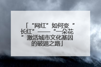 “网红”如何变“长红”——“一朵花”激活城市文化基因的破题之路