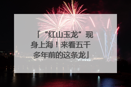 “红山玉龙”现身上海！来看五千多年前的这条龙