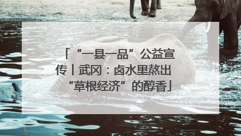 “一县一品”公益宣传丨武冈：卤水里熬出“草根经济”的醇香