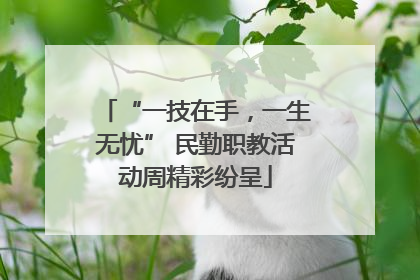 “一技在手，一生无忧” 民勤职教活动周精彩纷呈