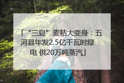 “三夏”麦秸大变身：五河县年发2.5亿千瓦时绿电 供20万吨蒸汽
