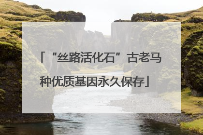 “丝路活化石”古老马种优质基因永久保存