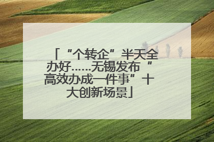“个转企”半天全办好……无锡发布“高效办成一件事”十大创新场景