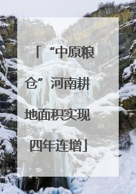 “中原粮仓”河南耕地面积实现四年连增