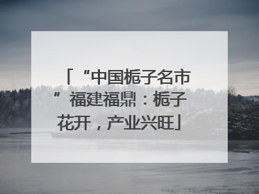 “中国栀子名市”福建福鼎：栀子花开，产业兴旺