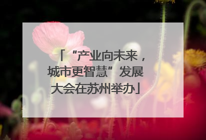 “产业向未来，城市更智慧”发展大会在苏州举办
