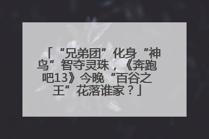 “兄弟团”化身“神鸟”智夺灵珠，《奔跑吧13》今晚“百谷之王”花落谁家？
