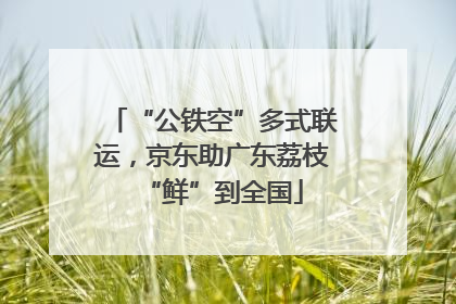 “公铁空”多式联运，京东助广东荔枝“鲜”到全国