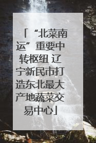 “北菜南运”重要中转枢纽 辽宁新民市打造东北最大产地蔬菜交易中心