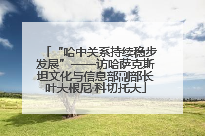 “哈中关系持续稳步发展”——访哈萨克斯坦文化与信息部副部长叶夫根尼·科切托夫