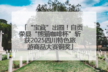 “宝藏”出圈！自贡荣县“熊猫咖啡杯”斩获2025四川特色旅游商品大赛铜奖