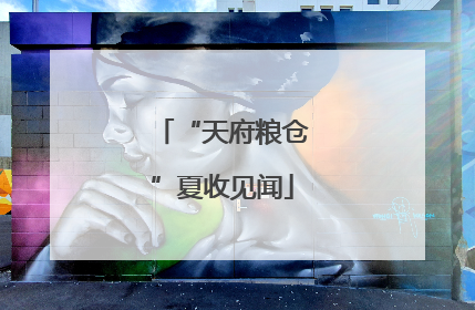 “天府粮仓”夏收见闻