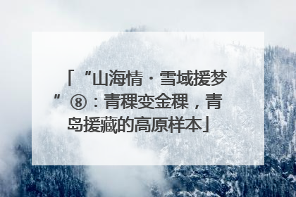 “山海情・雪域援梦”⑧：青稞变金稞，青岛援藏的高原样本
