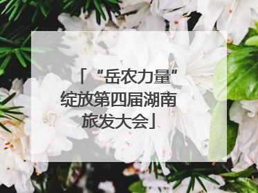 “岳农力量”绽放第四届湖南旅发大会