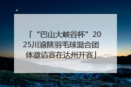 “巴山大峡谷杯”2025川渝陕羽毛球混合团体邀请赛在达州开赛