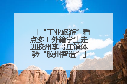 “工业旅游”看点多！外籍学生走进胶州李哥庄镇体验“胶州智造”