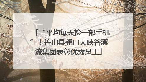 “平均每天捡一部手机”！鲁山县尧山大峡谷漂流集团表彰优秀员工