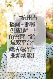 “杭州直播间+邯郸供应链”！角兽营“跨域双平台”激活鸡泽产业新动能