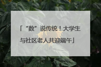 “数”说传统！大学生与社区老人共迎端午