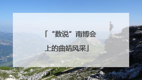 “数说”南博会上的曲靖风采