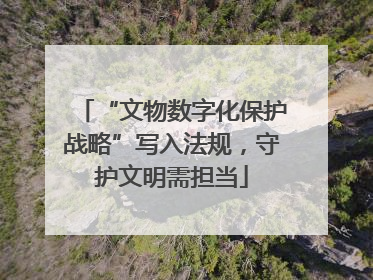 “文物数字化保护战略”写入法规，守护文明需担当
