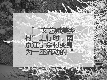 “文艺赋美乡村”进行时，南京江宁佘村变身为一座流动的“艺术村落”