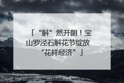 “斛”然开朗！宝山罗泾石斛花节绽放“花样经济”