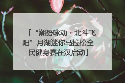 “潮势咏动・北斗飞阳”月湖迷你马拉松全民健身赛在汉启动