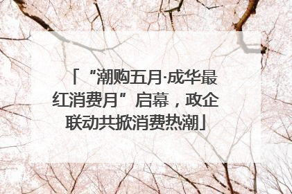 “潮购五月·成华最红消费月”启幕，政企联动共掀消费热潮