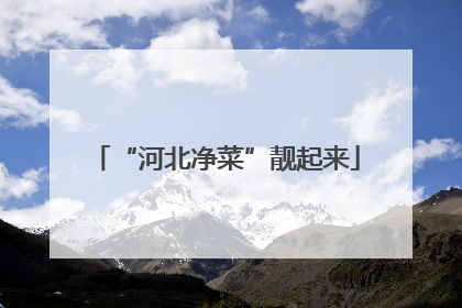 “河北净菜”靓起来