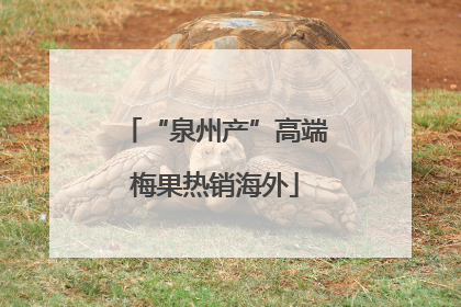 “泉州产”高端梅果热销海外