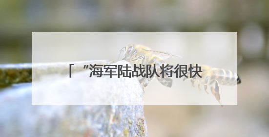“海军陆战队将很快在洛杉矶展开行动”