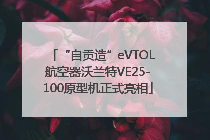 “自贡造”eVTOL航空器沃兰特VE25-100原型机正式亮相