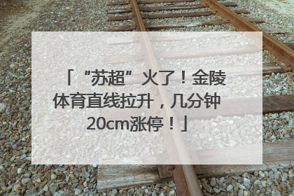 “苏超”火了！金陵体育直线拉升，几分钟20cm涨停！