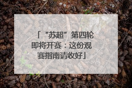 “苏超”第四轮即将开赛：这份观赛指南请收好